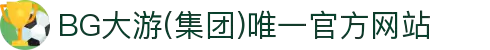BG大游(集团)唯一官方网站